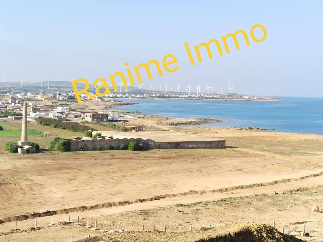 El Haouaria Cite Touristique Terrain Terrain nu Lots de 250m2 300m2 500m2 a la mer