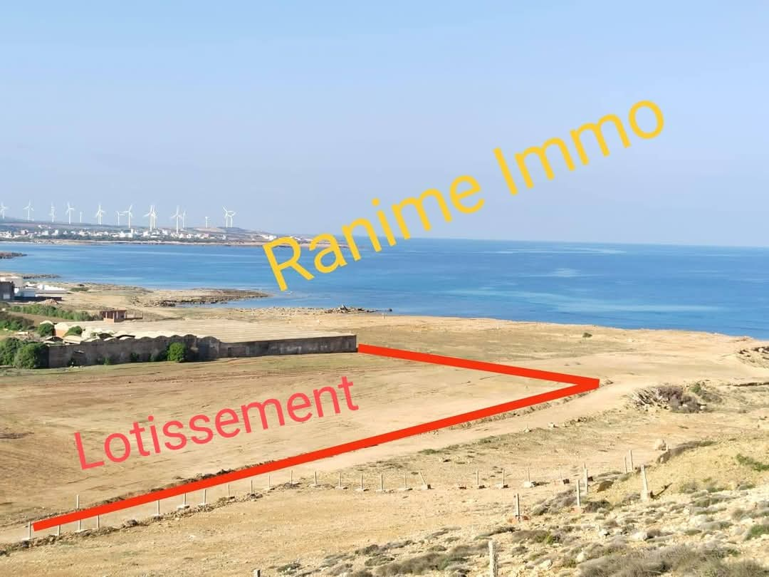 El Haouaria Cite Touristique Terrain Terrain nu Lots de 250m2 300m2 500m2 a la mer