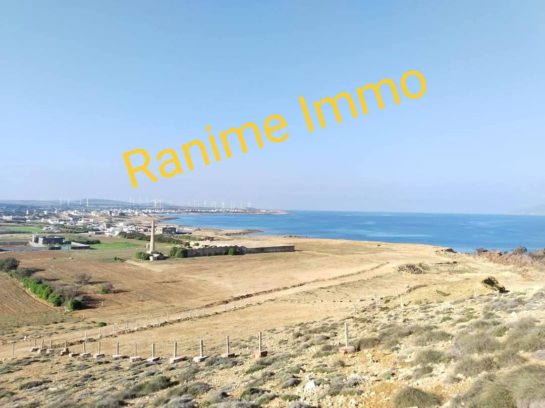 El Haouaria Cite Touristique Terrain Terrain nu Lots de 250m2 300m2 500m2 a la mer