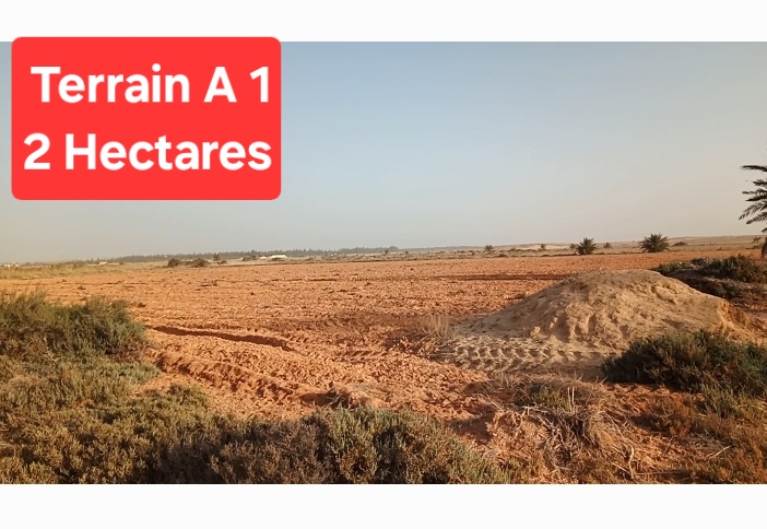 Mareth Ayoune Ezzerkine Terrain Terrain agricole Deux terrains agricole