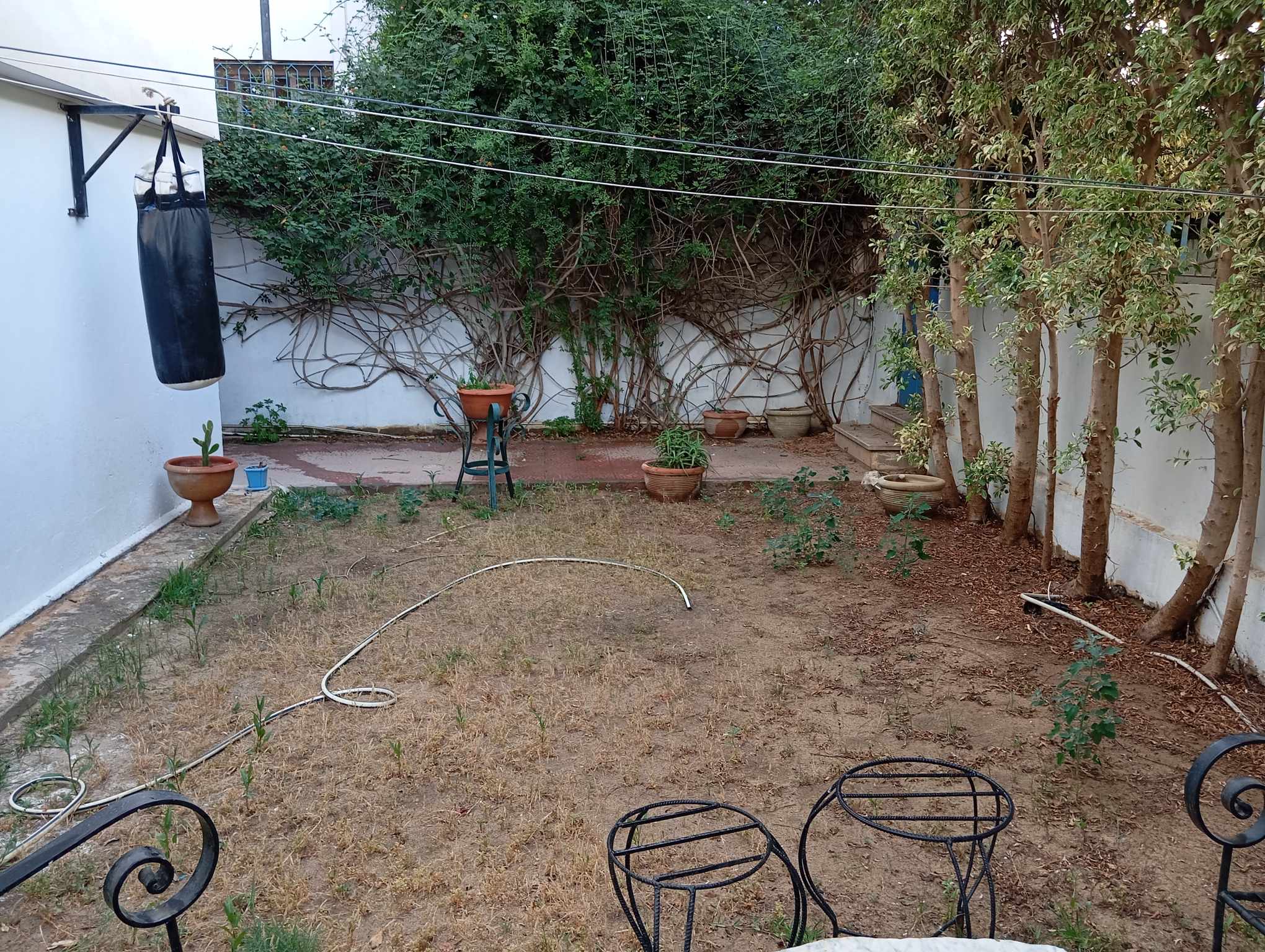 La Soukra La Soukra Location Appart. 3 pices Appt s plus 2 meubl avec un jardin