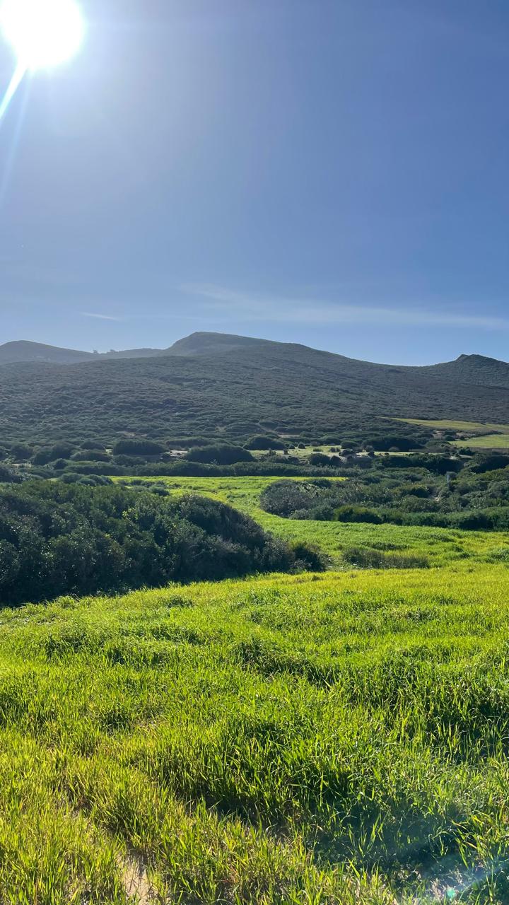 Bizerte Nord Bizerte Terrain Terrain nu Magnifique terrain vue mer  kef abed