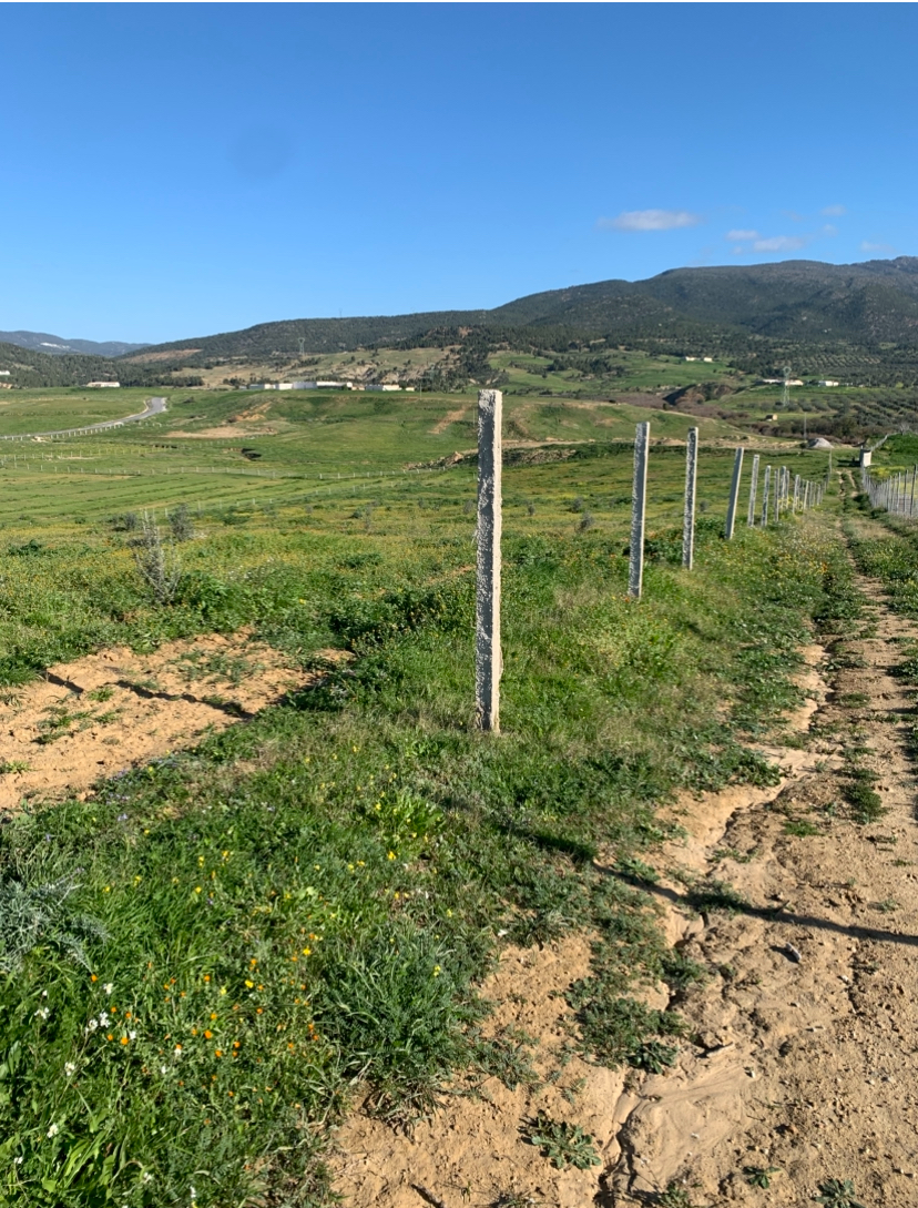 Zaghouan Oued Ezzit Terrain Terrain agricole Terrain agricole