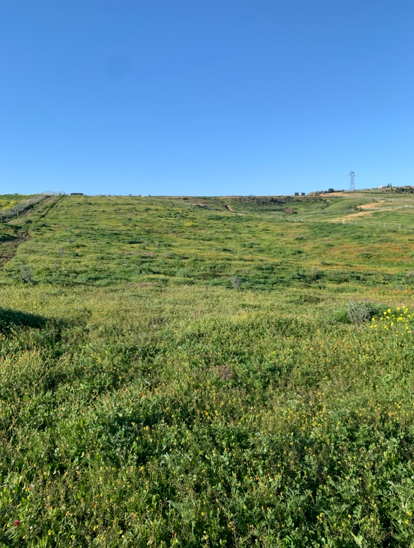 Zaghouan Oued Ezzit Terrain Terrain agricole Terrain agricole