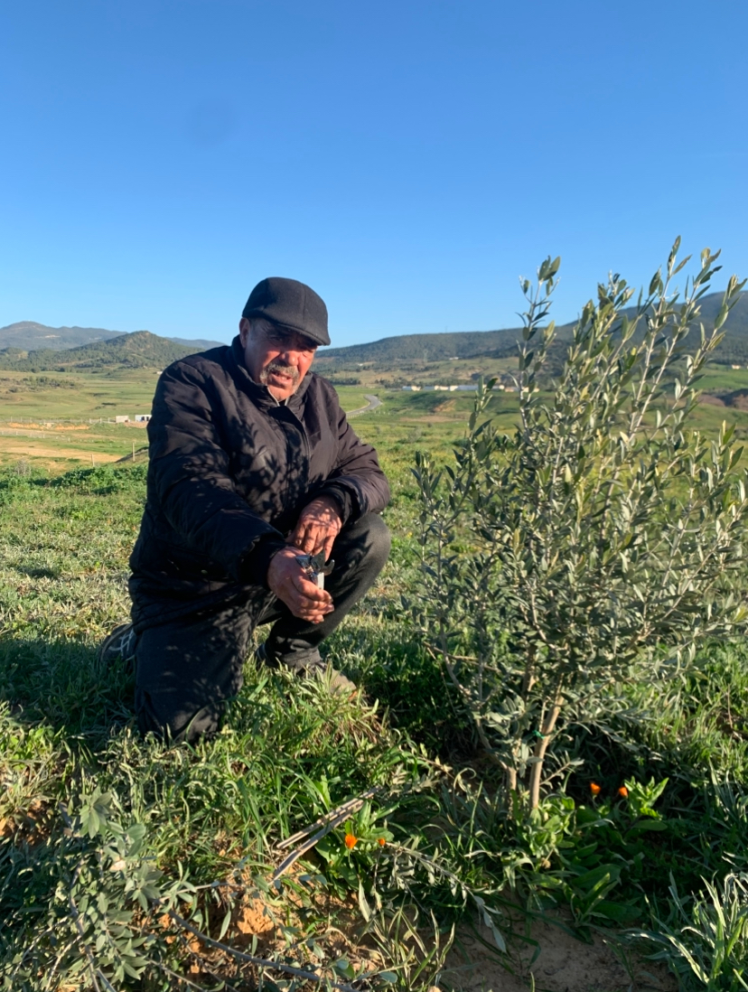 Zaghouan Oued Ezzit Terrain Terrain agricole Terrain agricole