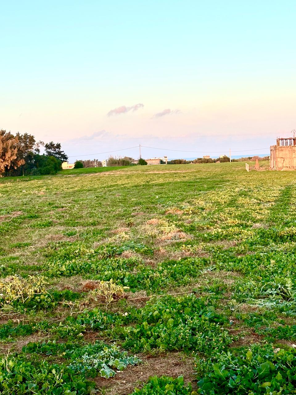 Kelibia Dar Allouche Terrain Terrain nu Lots de terrains plage dar allouche