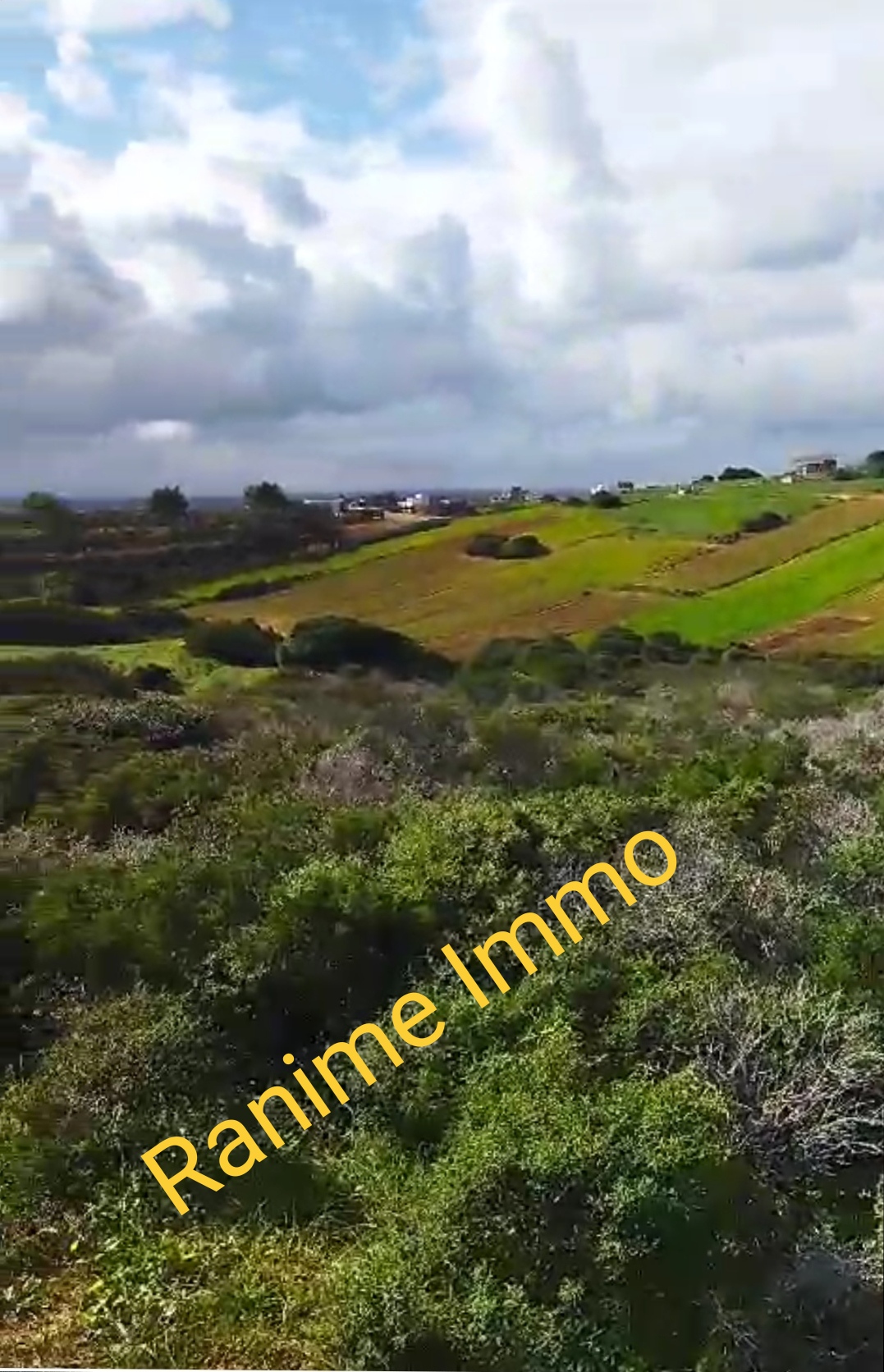 El Haouaria Cite Touristique Terrain Terrain nu Terrain de 3740m2 a la plage el haouaria