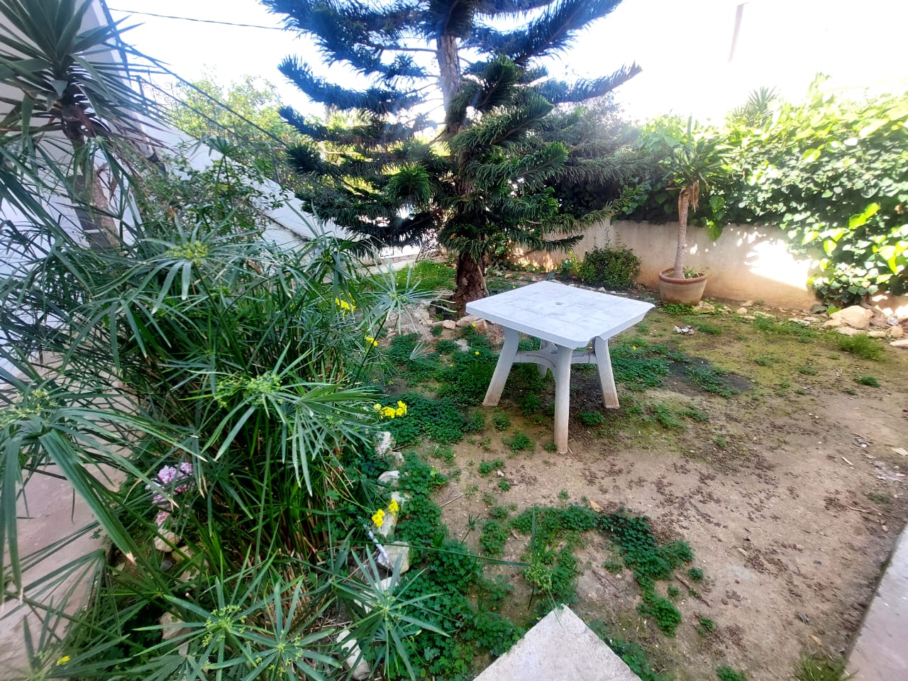 La Marsa Marsa Ennassim Location Maisons S1 meubl avec jardin  la marsa