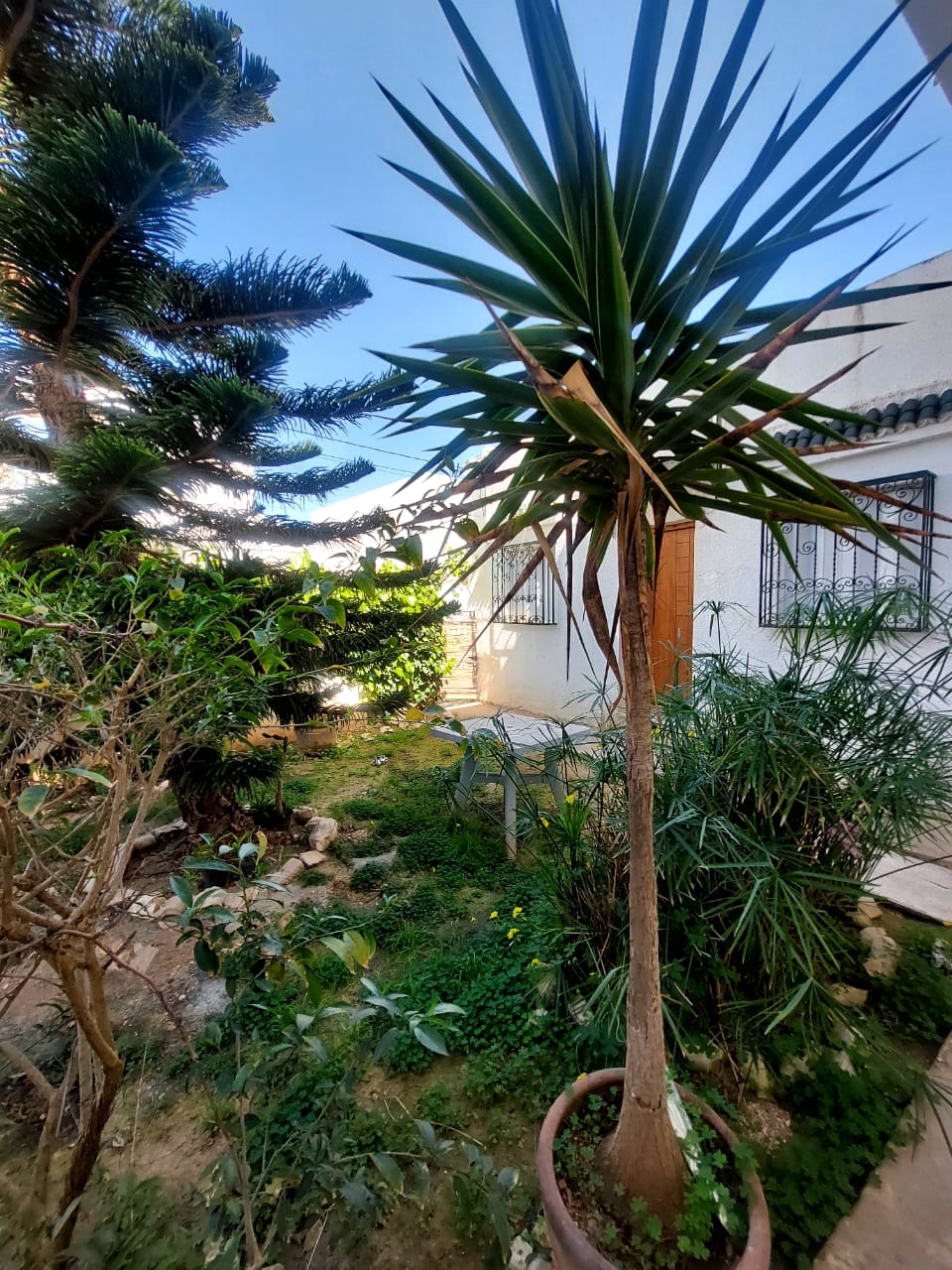 La Marsa Marsa Ennassim Location Maisons S1 meubl avec jardin  la marsa